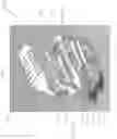 Fig. 167 - Spinal implant device