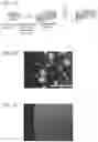 Fig. 02 - INJECTABLE, PORE-FORMING HYDROGELS FOR MATERIALS-BASED CELL THERAPIES