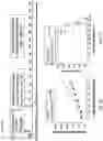 Fig. 07 - CANNABINOID COMPOSITIONS AND METHODS OF USE THEREOF FOR IMMUNE MODULATION