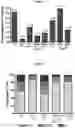 Fig. 05 - COMPOSITIONS FOR EFFECTIVE MANAGEMENT OF FIBROBLAST-LIKE SYNOVIOCYTES MEDIATED RHEUMATOID ARTHRITIS