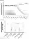 Fig. 31 - Pharmaceutical Composition for Treatment or Prevention of Multiple Inflammatory Disorders
