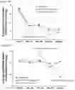 Fig. 48 - Pharmaceutical Composition for Treatment or Prevention of Multiple Inflammatory Disorders
