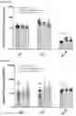 Fig. 51 - Pharmaceutical Composition for Treatment or Prevention of Multiple Inflammatory Disorders