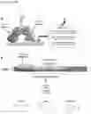 Fig. 02 - COMPOSITIONS, METHODS AND USES FOR TARGETING C-TERMINAL BINDING PROTEIN (CtBP) IN TRAUMATIC BRAIN INJURY