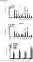 Fig. 03 - COMPOSITIONS, METHODS AND USES FOR TARGETING C-TERMINAL BINDING PROTEIN (CtBP) IN TRAUMATIC BRAIN INJURY