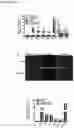 Fig. 07 - COMPOSITIONS, METHODS AND USES FOR TARGETING C-TERMINAL BINDING PROTEIN (CtBP) IN TRAUMATIC BRAIN INJURY