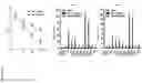 Fig. 09 - COMPOSITIONS, METHODS AND USES FOR TARGETING C-TERMINAL BINDING PROTEIN (CtBP) IN TRAUMATIC BRAIN INJURY
