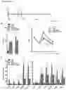 Fig. 11 - COMPOSITIONS, METHODS AND USES FOR TARGETING C-TERMINAL BINDING PROTEIN (CtBP) IN TRAUMATIC BRAIN INJURY