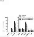Fig. 13 - COMPOSITIONS, METHODS AND USES FOR TARGETING C-TERMINAL BINDING PROTEIN (CtBP) IN TRAUMATIC BRAIN INJURY