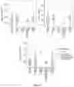 Fig. 09 - METHODS OF THROMBOPROPHYLAXIS