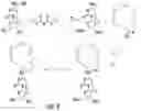 Fig. 05 - Nucleobase analogue derivatives and their applications
