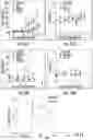 Fig. 12 - Nucleobase analogue derivatives and their applications
