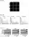 Fig. 04 - Immunotherapeutic Nanoparticles And Methods Relating Thereto
