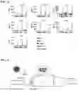 Fig. 06 - Immunotherapeutic Nanoparticles And Methods Relating Thereto