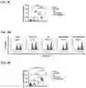 Fig. 13 - Immunotherapeutic Nanoparticles And Methods Relating Thereto