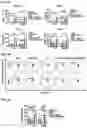 Fig. 14 - Immunotherapeutic Nanoparticles And Methods Relating Thereto