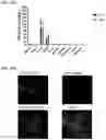 Fig. 23 - Immunotherapeutic Nanoparticles And Methods Relating Thereto