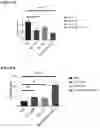 Fig. 25 - Immunotherapeutic Nanoparticles And Methods Relating Thereto