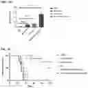 Fig. 26 - Immunotherapeutic Nanoparticles And Methods Relating Thereto