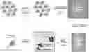 Fig. 01 - COMPOSITIONS AND METHODS FOR TREATING RAS-MUTANT CANCERS