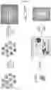 Fig. 02 - COMPOSITIONS AND METHODS FOR TREATING RAS-MUTANT CANCERS
