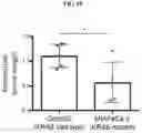 Fig. 18 - COMPOSITIONS AND METHODS FOR TREATING RAS-MUTANT CANCERS