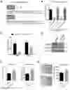 Fig. 03 - Method of Treatment