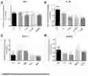 Fig. 07 - Method of Treatment