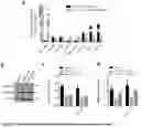 Fig. 13 - Method of Treatment