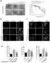 Fig. 14 - Method of Treatment