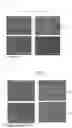 Fig. 05 - NOVEL THERAPEUTIC AGENT FOR GASTROINTESTINAL CANCER AND METHOD FOR SCREENING FOR THE SAME