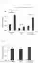 Fig. 07 - NOVEL THERAPEUTIC AGENT FOR GASTROINTESTINAL CANCER AND METHOD FOR SCREENING FOR THE SAME