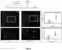 Fig. 07 - NEUROGENESIS