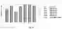 Fig. 15 - Cross-linked hyaluronic acids and combinations with PRP/BMC