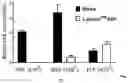 Fig. 16 - Cross-linked hyaluronic acids and combinations with PRP/BMC