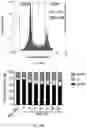 Fig. 18 - Cross-linked hyaluronic acids and combinations with PRP/BMC