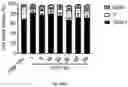Fig. 19 - Cross-linked hyaluronic acids and combinations with PRP/BMC