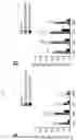 Fig. 03 - METHOD FOR SUPPRESSING INTERVERTEBRAL DISC PAIN