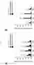 Fig. 06 - METHOD FOR SUPPRESSING INTERVERTEBRAL DISC PAIN