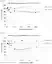 Fig. 08 - Therapeutic Agent for Flavivirus Infection