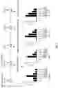 Fig. 06 - MANGANESE COMPOSITION FOR ENHANCING IMMUNITY