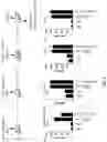 Fig. 07 - MANGANESE COMPOSITION FOR ENHANCING IMMUNITY