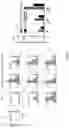 Fig. 11 - MANGANESE COMPOSITION FOR ENHANCING IMMUNITY