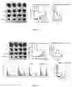Fig. 19 - MANGANESE COMPOSITION FOR ENHANCING IMMUNITY