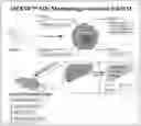 Fig. 01 - METHODS OF TREATING IMBALANCE OF PLASMA LIPIDS LEVEL AND FATTY LIVER WITH M2C MACROPHAGES