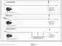 Fig. 02 - METHODS OF TREATING IMBALANCE OF PLASMA LIPIDS LEVEL AND FATTY LIVER WITH M2C MACROPHAGES