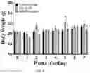 Fig. 08 - METHODS OF TREATING IMBALANCE OF PLASMA LIPIDS LEVEL AND FATTY LIVER WITH M2C MACROPHAGES
