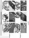 Fig. 12 - METHODS OF TREATING IMBALANCE OF PLASMA LIPIDS LEVEL AND FATTY LIVER WITH M2C MACROPHAGES