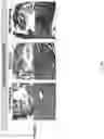 Fig. 13 - METHODS OF TREATING IMBALANCE OF PLASMA LIPIDS LEVEL AND FATTY LIVER WITH M2C MACROPHAGES