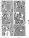 Fig. 26 - METHODS OF TREATING IMBALANCE OF PLASMA LIPIDS LEVEL AND FATTY LIVER WITH M2C MACROPHAGES